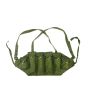 PLA Chinese Type 81 Chest Rig