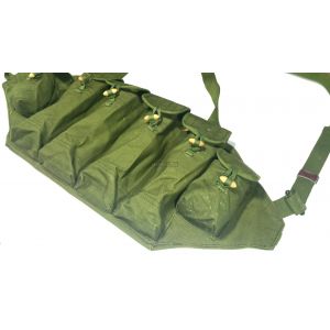 type 81 chest rig green
